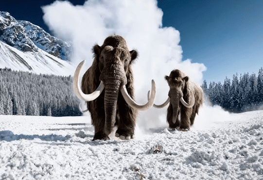 Hình ảnh video của OpenAI Sora